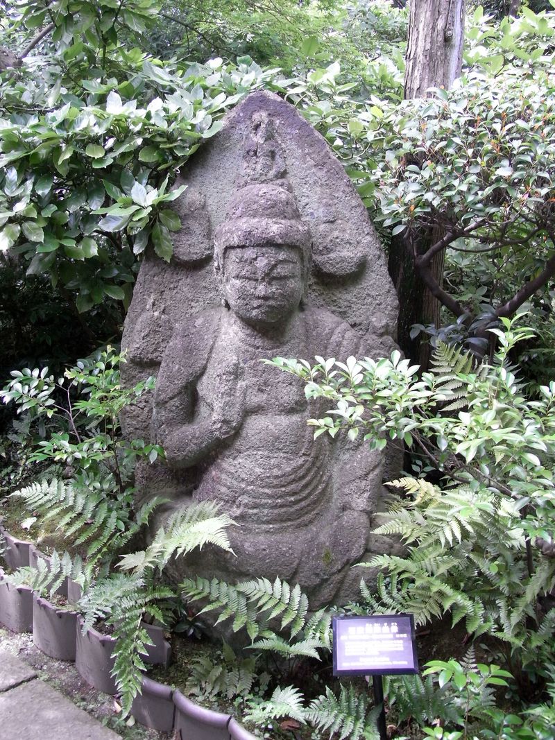 RIMG0019