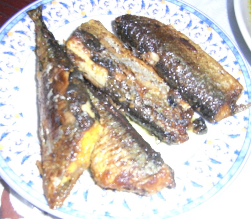 RIMG0018