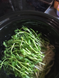 Slow cooker 2