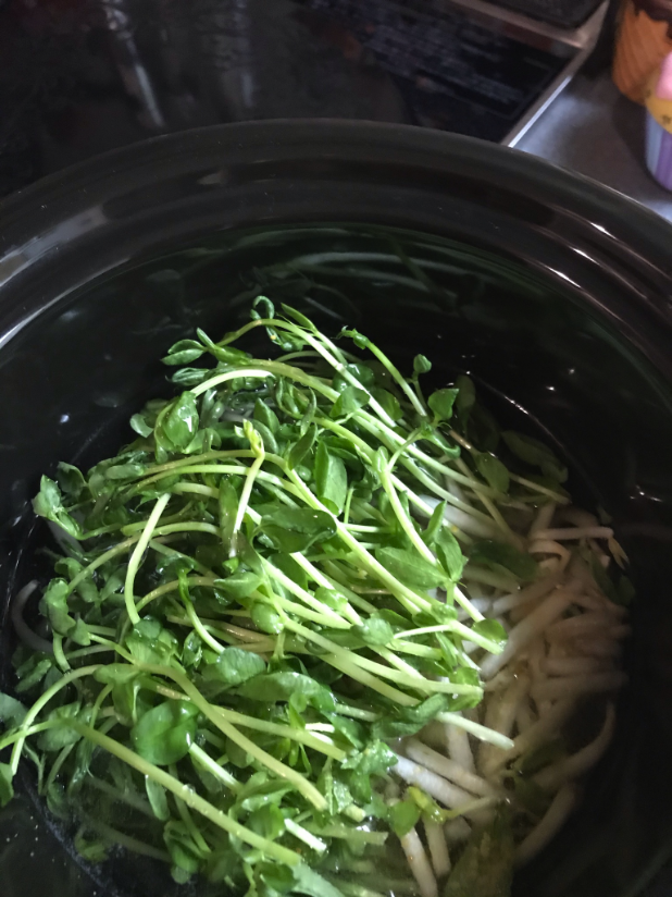 Slow cooker 2